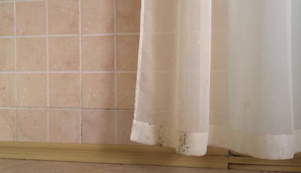 Mold Remediation for Rental Properties in Oakland, NJ