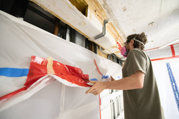 Best Basement Mold Removal  in Oakland, NJ