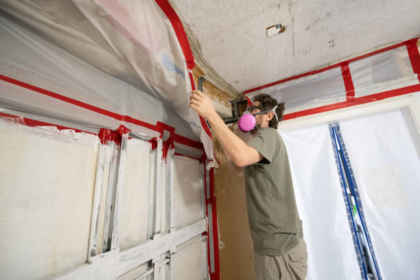 Best Mold Odor Removal Services  in Oakland, NJ