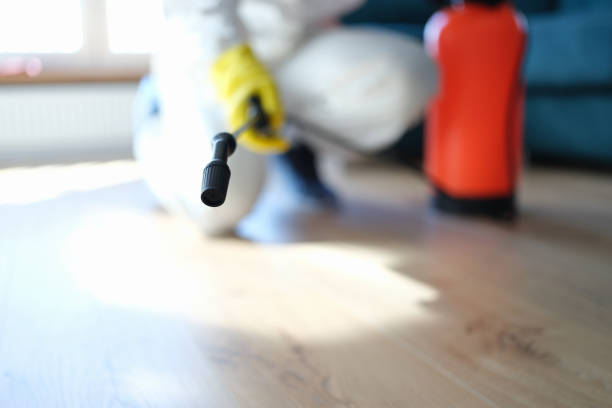 Best Water Damage & Mold Remediation  in Oakland, NJ