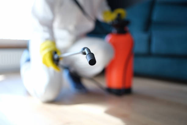 Asbestos and Lead Testing During Mold Inspection in Oakland, NJ