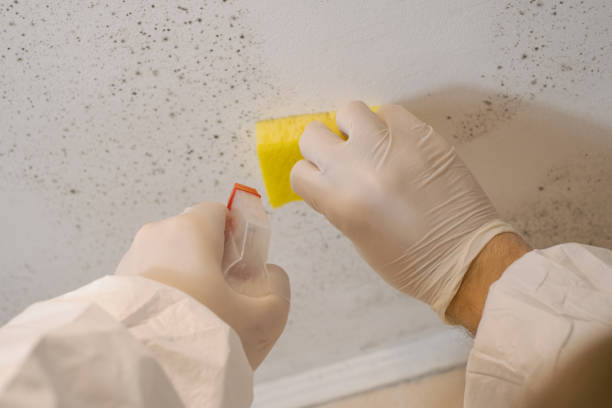 Best Industrial Mold Remediation  in Oakland, NJ