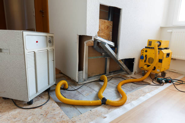 Best Mold Remediation for Healthcare Facilities  in Oakland, NJ
