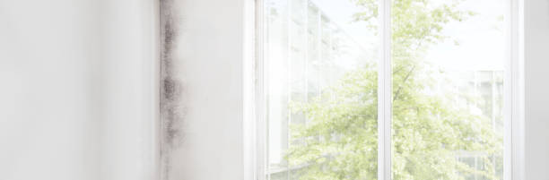 Best Mold Documentation for Insurance Claims  in Oakland, NJ