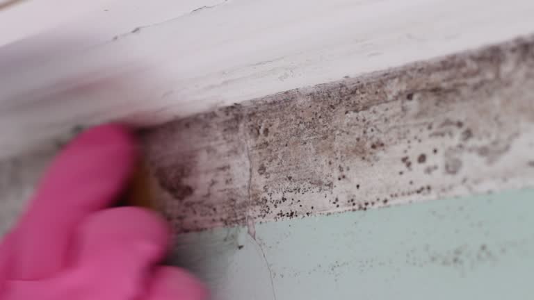 Best Comprehensive Air Testing for Mold Contaminants  in Oakland, NJ